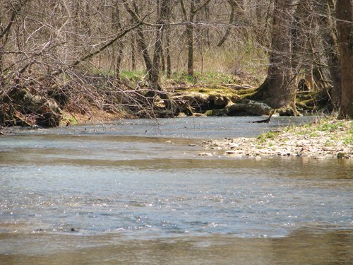 Property photo 46 - 137 Acres in 2 Tracts - 64 Tillable Acres, Potential Building Sites, Hunting